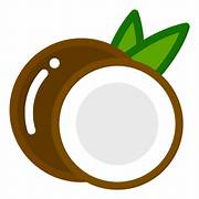 desiccated-coconut