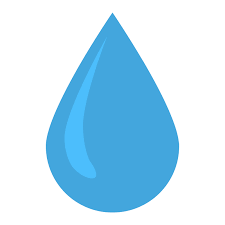 coconut water